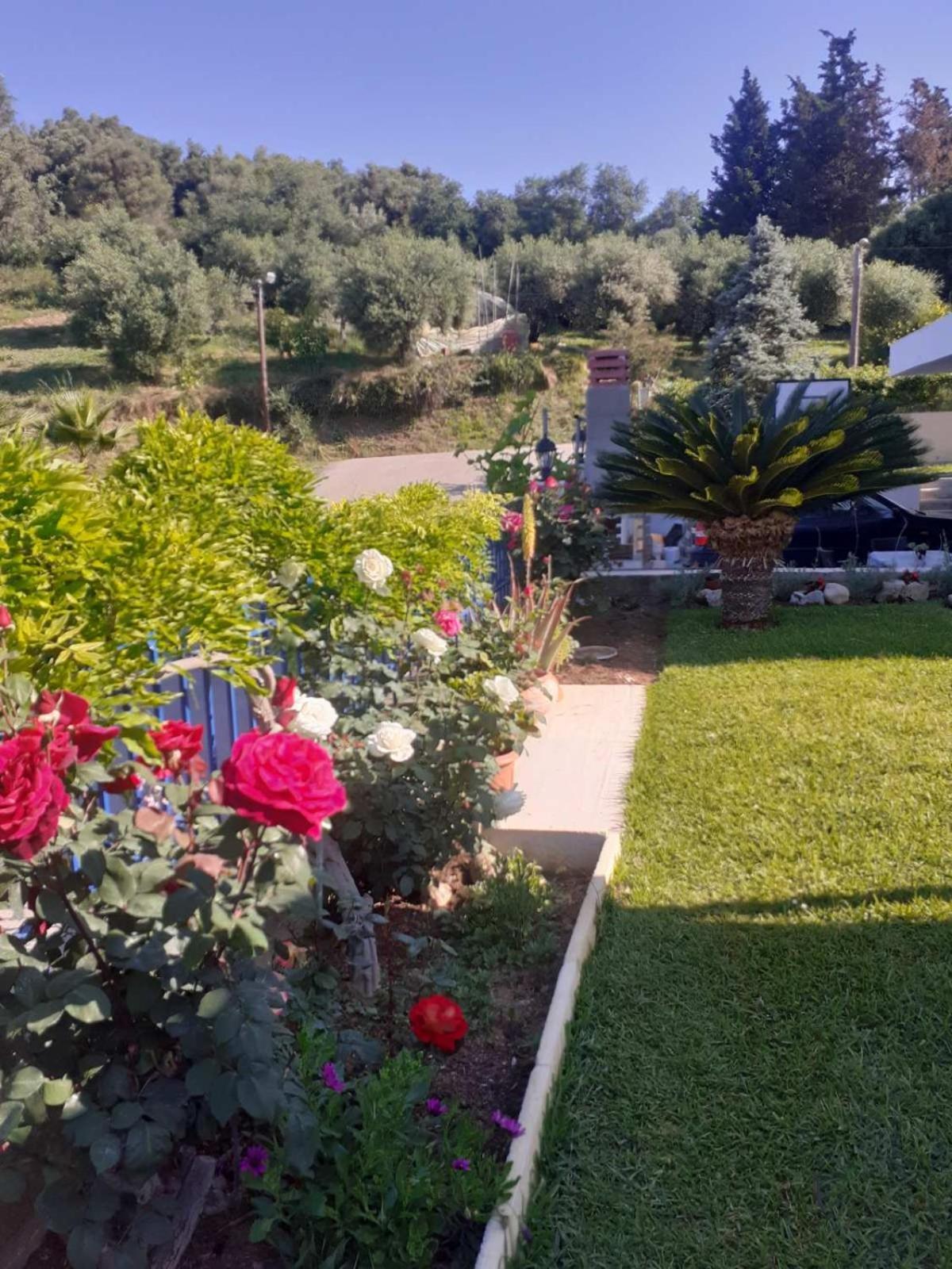 Simos' Sea View House Βίλα Nikopolis Εξωτερικό φωτογραφία